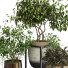 Pots de fleurs Ensemble de plantes 046 - unisjamavari