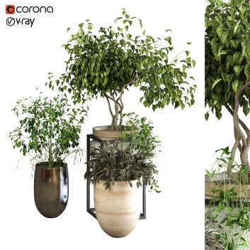 Doniczki  Plants Set 046 Model 3D