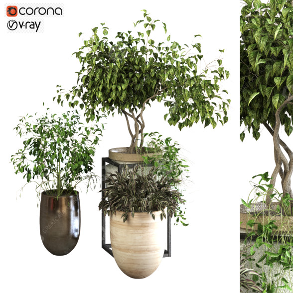 Pots de fleurs Ensemble de plantes 046 modèle 3D