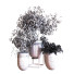 Pots de fleurs Ensemble de plantes 046 - unisjamavari
