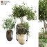 Pots de fleurs Ensemble de plantes 046 - unisjamavari