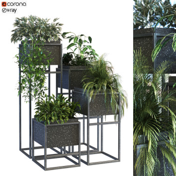 Doniczki  Plant in Box Set 067 Model 3D
