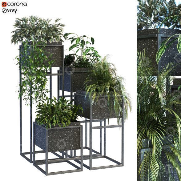 Doniczki Plant in Box Set 067 model 3D