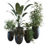 Doniczki Plants Set 054 - unisjamavari