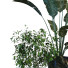 Doniczki Plants Set 054 - unisjamavari