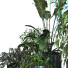 Doniczki Plants Set 054 - unisjamavari