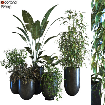 Doniczki  Plants Set 054 Model 3D