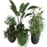 Doniczki Plants Set 054 - unisjamavari