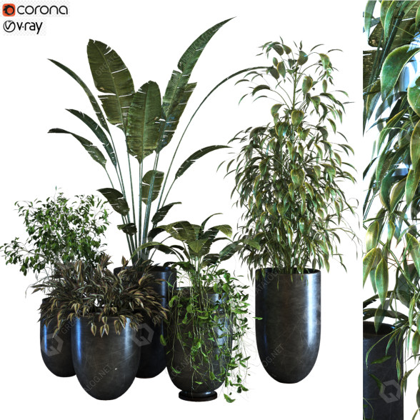 Doniczki Plants Set 054 model 3D