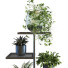 Supports et pots de fleurs Ensemble de plantes 058 - unisjamavari