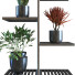 Supports et pots de fleurs Ensemble de plantes 058 - unisjamavari