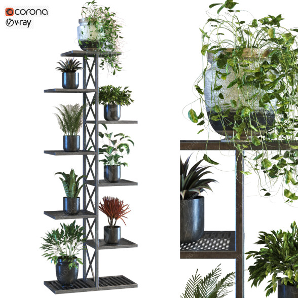 Supports et pots de fleurs Ensemble de plantes 058 modèle 3D