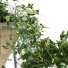 Blumentöpfe Pflanzen Set 061 - unisjamavari