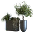 Doniczki Plants Set 064 - unisjamavari