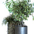 Doniczki Plants Set 064 - unisjamavari