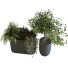 Doniczki Plants Set 064 - unisjamavari