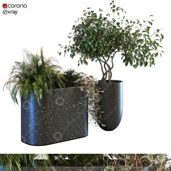 Doniczki Plants Set 064 model 3D