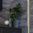 TV-Wandschrank Set 021 - unisjamavari