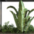 Rack and Flowerpots Plant in Box Set 057 - unisjamavari