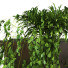Doniczki Plant in Box Set 059 - unisjamavari