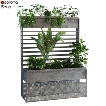 Doniczki  Plant in Box Set 060 Model 3D