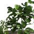 Blumentopf Pflanzen Set 047 - unisjamavari