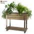Blumentopf Pflanzen Set 047 - unisjamavari