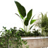 Pots de fleurs Ensemble de plantes 048 - unisjamavari