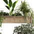 Pots de fleurs Ensemble de plantes 048 - unisjamavari