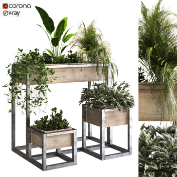Doniczki  Plants Set 048 Model 3D