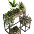 Pots de fleurs Ensemble de plantes 048 - unisjamavari