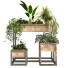 Pots de fleurs Ensemble de plantes 048 - unisjamavari