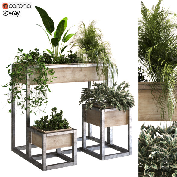 Pots de fleurs Ensemble de plantes 048 modèle 3D