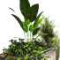 Pots de fleurs Ensemble de plantes 048 - unisjamavari