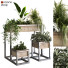 Pots de fleurs Ensemble de plantes 048 - unisjamavari
