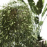Doniczki Plants Set 049 - unisjamavari