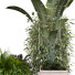 Doniczki Plants Set 049 - unisjamavari