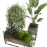 Doniczki Plants Set 049 - unisjamavari