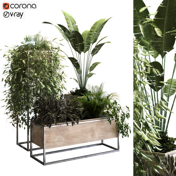 Doniczki Plants Set 049 model 3D