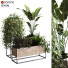 Doniczki Plants Set 049 - unisjamavari