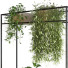 Pot de fleurs Ensemble de plantes 050 - unisjamavari