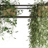 Pot de fleurs Ensemble de plantes 050 - unisjamavari