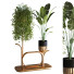 Doniczka Plants Set 051 - unisjamavari