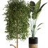 Doniczka Plants Set 051 - unisjamavari