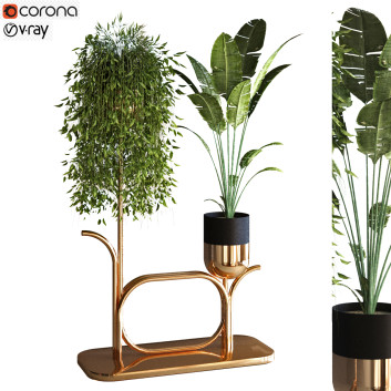 Doniczka  Plants Set 051 Model 3D