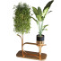 Doniczka Plants Set 051 - unisjamavari