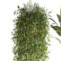 Doniczka Plants Set 051 - unisjamavari