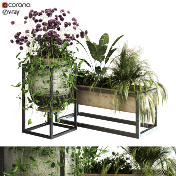Doniczki  Plants Set 052 Model 3D