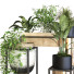 Pots de fleurs Ensemble de plantes 053 - unisjamavari