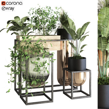 Doniczki  Plants Set 053 Model 3D